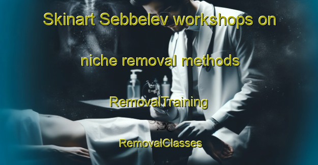 Skinart Sebbelev workshops on niche removal methods | RemovalTraining | RemovalClasses | SkinartTraining-Denmark