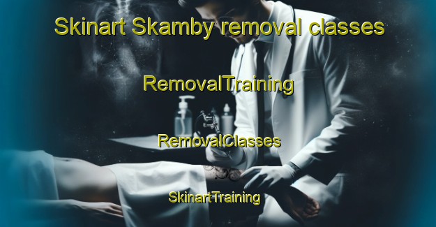 Skinart Skamby removal classes | RemovalTraining | RemovalClasses | SkinartTraining-Denmark