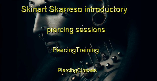 Skinart Skarreso introductory piercing sessions | PiercingTraining | PiercingClasses | SkinartTraining-Denmark