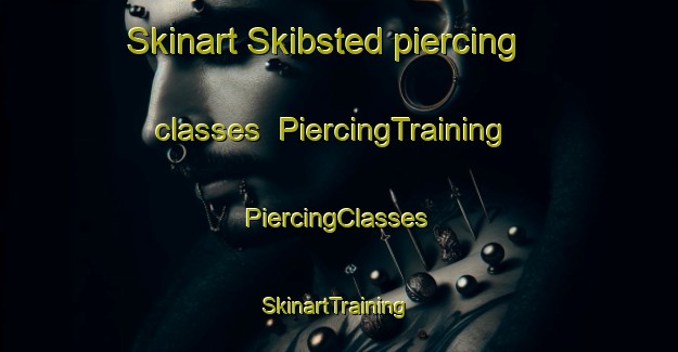 Skinart Skibsted piercing classes | #PiercingTraining #PiercingClasses #SkinartTraining-Denmark