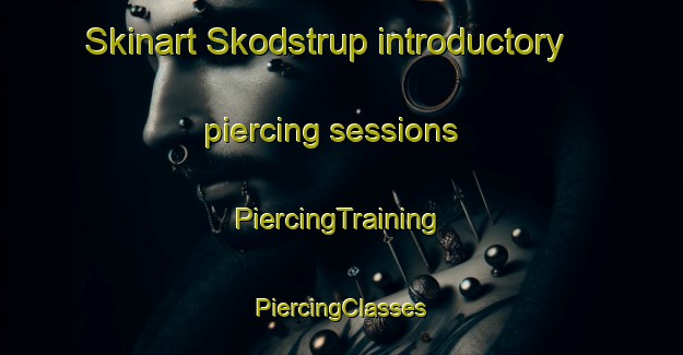 Skinart Skodstrup introductory piercing sessions | #PiercingTraining #PiercingClasses #SkinartTraining-Denmark