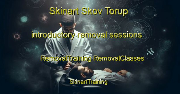 Skinart Skov Torup introductory removal sessions | #RemovalTraining #RemovalClasses #SkinartTraining-Denmark