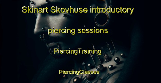 Skinart Skovhuse introductory piercing sessions | PiercingTraining | PiercingClasses | SkinartTraining-Denmark