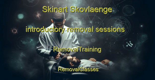 Skinart Skovlaenge introductory removal sessions | RemovalTraining | RemovalClasses | SkinartTraining-Denmark