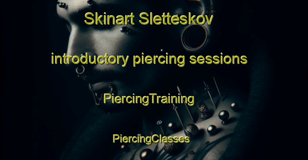 Skinart Sletteskov introductory piercing sessions | PiercingTraining | PiercingClasses | SkinartTraining-Denmark