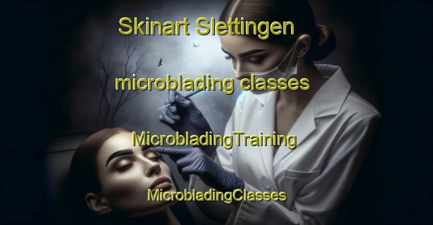 Skinart Slettingen microblading classes | #MicrobladingTraining #MicrobladingClasses #SkinartTraining-Denmark