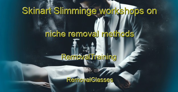 Skinart Slimminge workshops on niche removal methods | RemovalTraining | RemovalClasses | SkinartTraining-Denmark