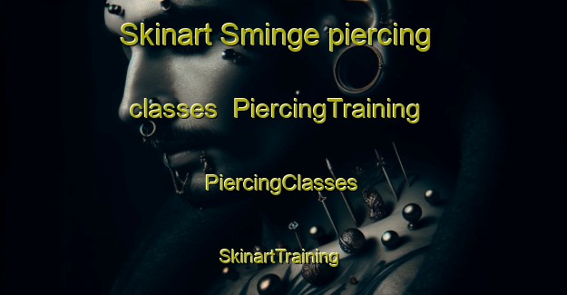 Skinart Sminge piercing classes | #PiercingTraining #PiercingClasses #SkinartTraining-Denmark