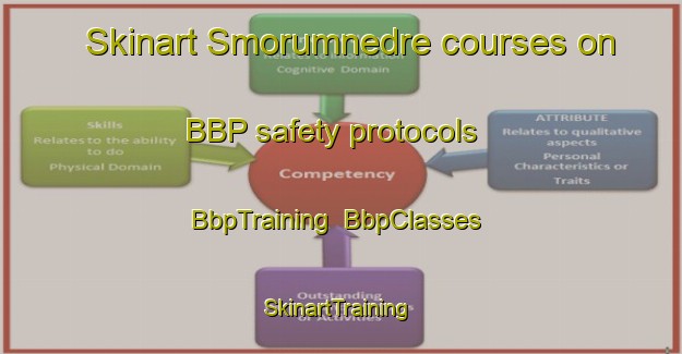 Skinart Smorumnedre courses on BBP safety protocols | BbpTraining | BbpClasses | SkinartTraining-Denmark