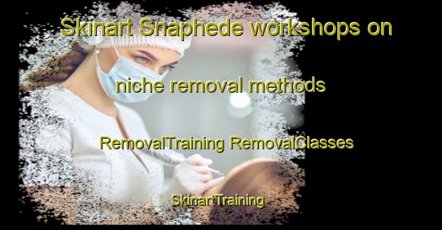 Skinart Snaphede workshops on niche removal methods | #RemovalTraining #RemovalClasses #SkinartTraining-Denmark