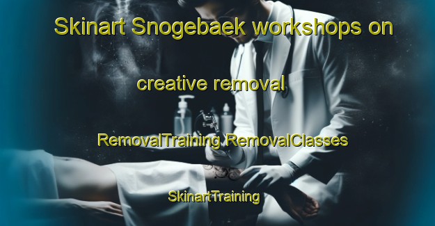 Skinart Snogebaek workshops on creative removal | #RemovalTraining #RemovalClasses #SkinartTraining-Denmark