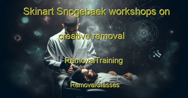 Skinart Snogebaek workshops on creative removal | RemovalTraining | RemovalClasses | SkinartTraining-Denmark