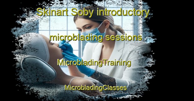 Skinart Soby introductory microblading sessions | MicrobladingTraining | MicrobladingClasses | SkinartTraining-Denmark
