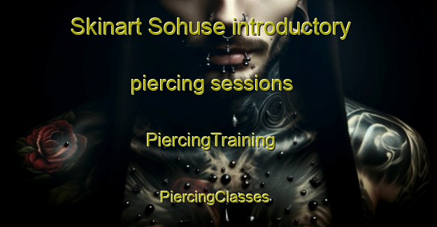 Skinart Sohuse introductory piercing sessions | PiercingTraining | PiercingClasses | SkinartTraining-Denmark