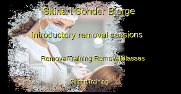 Skinart Sonder Bjerge introductory removal sessions | #RemovalTraining #RemovalClasses #SkinartTraining-Denmark