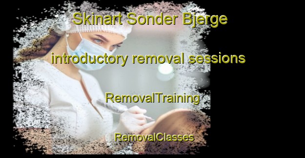 Skinart Sonder Bjerge introductory removal sessions | RemovalTraining | RemovalClasses | SkinartTraining-Denmark