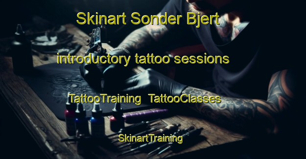 Skinart Sonder Bjert introductory tattoo sessions | TattooTraining | TattooClasses | SkinartTraining-Denmark