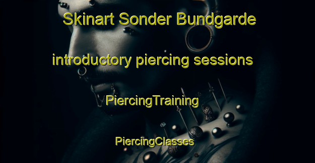 Skinart Sonder Bundgarde introductory piercing sessions | PiercingTraining | PiercingClasses | SkinartTraining-Denmark