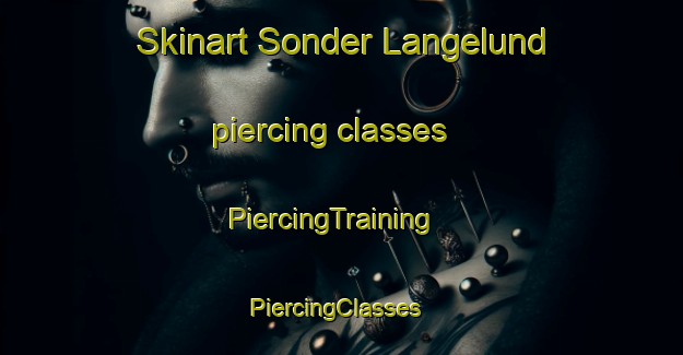 Skinart Sonder Langelund piercing classes | PiercingTraining | PiercingClasses | SkinartTraining-Denmark