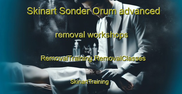 Skinart Sonder Orum advanced removal workshops | #RemovalTraining #RemovalClasses #SkinartTraining-Denmark