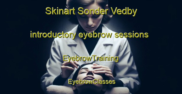 Skinart Sonder Vedby introductory eyebrow sessions | EyebrowTraining | EyebrowClasses | SkinartTraining-Denmark