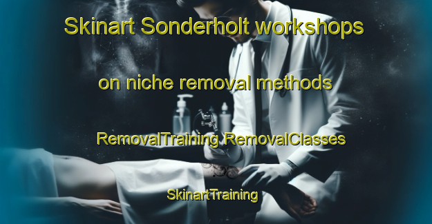 Skinart Sonderholt workshops on niche removal methods | #RemovalTraining #RemovalClasses #SkinartTraining-Denmark