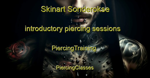 Skinart Sonderokse introductory piercing sessions | #PiercingTraining #PiercingClasses #SkinartTraining-Denmark