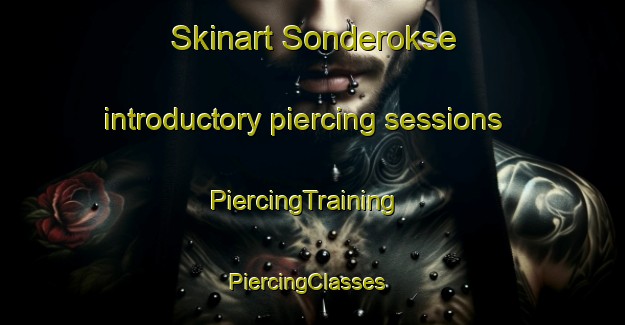 Skinart Sonderokse introductory piercing sessions | PiercingTraining | PiercingClasses | SkinartTraining-Denmark