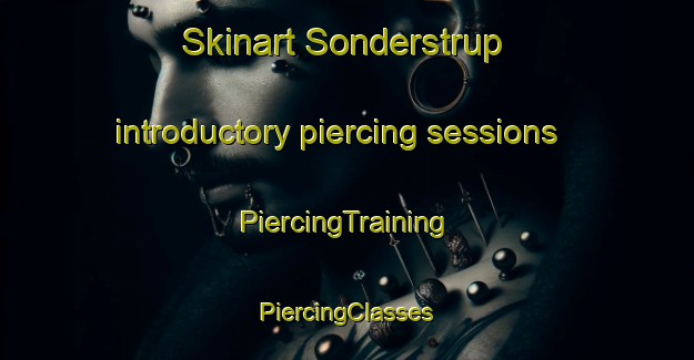 Skinart Sonderstrup introductory piercing sessions | #PiercingTraining #PiercingClasses #SkinartTraining-Denmark