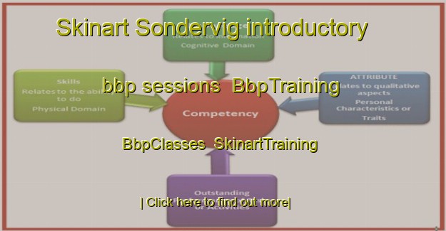 Skinart Sondervig introductory bbp sessions | BbpTraining | BbpClasses | SkinartTraining-Denmark