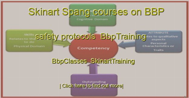 Skinart Spang courses on BBP safety protocols | BbpTraining | BbpClasses | SkinartTraining-Denmark