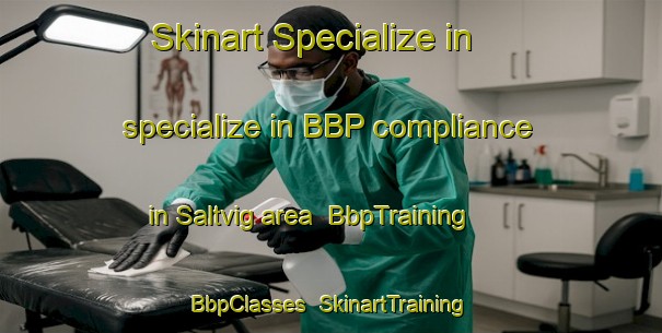 Skinart Specialize in specialize in BBP compliance in Saltvig area | BbpTraining | BbpClasses | SkinartTraining-Denmark