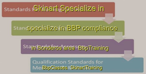 Skinart Specialize in specialize in BBP compliance in Sonderos area | BbpTraining | BbpClasses | SkinartTraining-Denmark