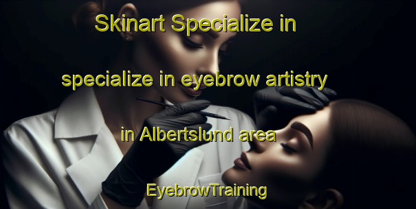 Skinart Specialize in specialize in eyebrow artistry in Albertslund area | EyebrowTraining | EyebrowClasses | SkinartTraining-Denmark