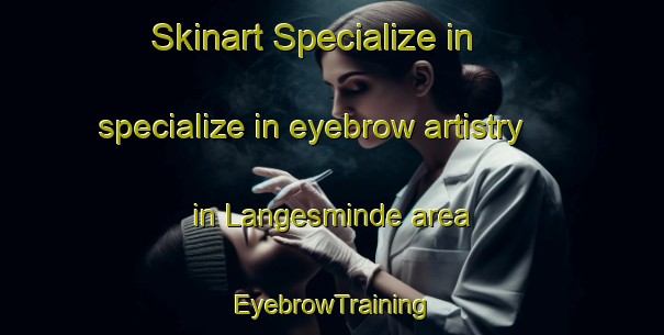 Skinart Specialize in specialize in eyebrow artistry in Langesminde area | EyebrowTraining | EyebrowClasses | SkinartTraining-Denmark