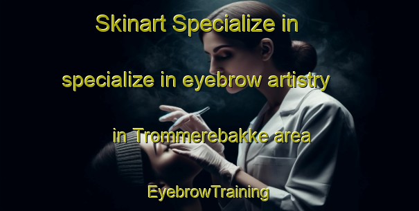 Skinart Specialize in specialize in eyebrow artistry in Trommerebakke area | EyebrowTraining | EyebrowClasses | SkinartTraining-Denmark