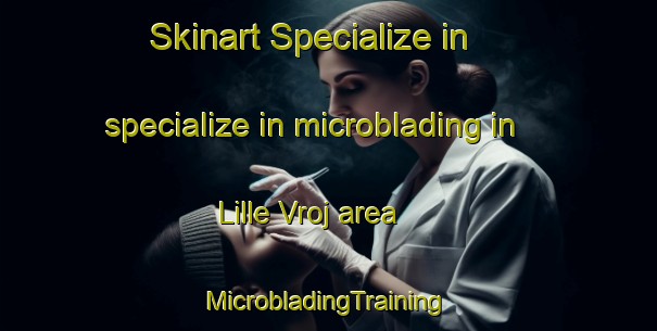 Skinart Specialize in specialize in microblading in Lille Vroj area | #MicrobladingTraining #MicrobladingClasses #SkinartTraining-Denmark