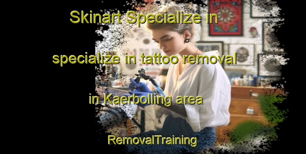Skinart Specialize in specialize in tattoo removal in Kaerbolling area | RemovalTraining | RemovalClasses | SkinartTraining-Denmark