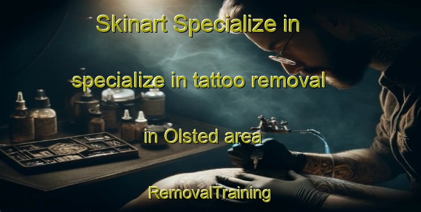 Skinart Specialize in specialize in tattoo removal in Olsted area | RemovalTraining | RemovalClasses | SkinartTraining-Denmark