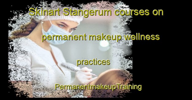 Skinart Stangerum courses on permanent makeup wellness practices | PermanentmakeupTraining | PermanentmakeupClasses | SkinartTraining-Denmark