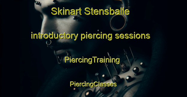 Skinart Stensballe introductory piercing sessions | #PiercingTraining #PiercingClasses #SkinartTraining-Denmark