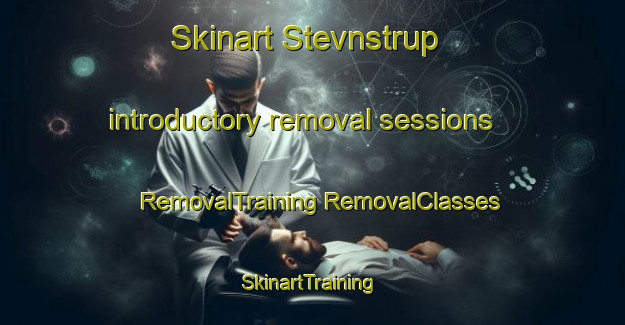 Skinart Stevnstrup introductory removal sessions | #RemovalTraining #RemovalClasses #SkinartTraining-Denmark