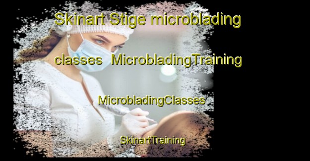 Skinart Stige microblading classes | MicrobladingTraining | MicrobladingClasses | SkinartTraining-Denmark