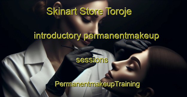 Skinart Store Toroje introductory permanentmakeup sessions | #PermanentmakeupTraining #PermanentmakeupClasses #SkinartTraining-Denmark