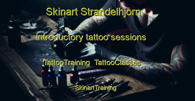 Skinart Strandelhjorn introductory tattoo sessions | TattooTraining | TattooClasses | SkinartTraining-Denmark