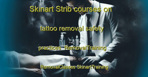 Skinart Strib courses on tattoo removal safety practices | #RemovalTraining #RemovalClasses #SkinartTraining-Denmark