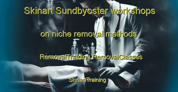 Skinart Sundbyoster workshops on niche removal methods | #RemovalTraining #RemovalClasses #SkinartTraining-Denmark