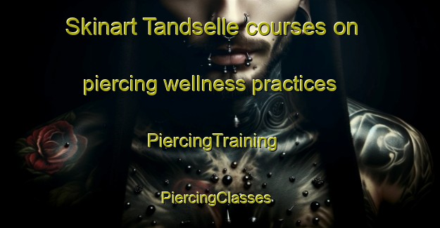 Skinart Tandselle courses on piercing wellness practices | PiercingTraining | PiercingClasses | SkinartTraining-Denmark