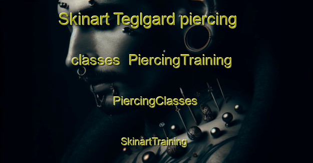 Skinart Teglgard piercing classes | #PiercingTraining #PiercingClasses #SkinartTraining-Denmark