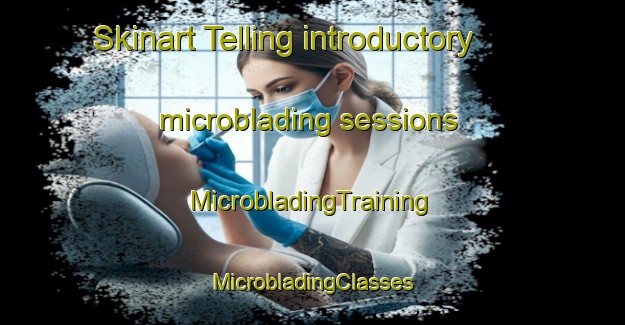 Skinart Telling introductory microblading sessions | #MicrobladingTraining #MicrobladingClasses #SkinartTraining-Denmark